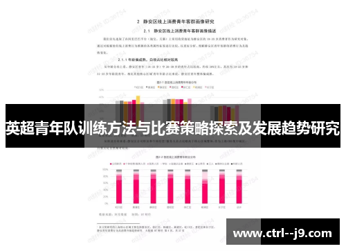 英超青年队训练方法与比赛策略探索及发展趋势研究