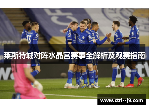 莱斯特城对阵水晶宫赛事全解析及观赛指南