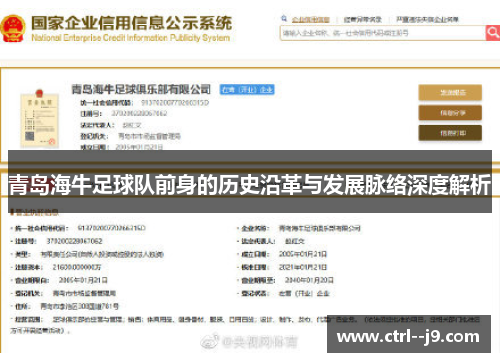 青岛海牛足球队前身的历史沿革与发展脉络深度解析
